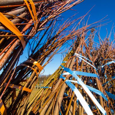 trasporto piante - vivaio a Pistoia